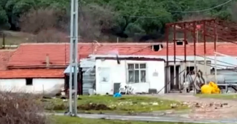 Arnavutköy deki çiftlik evinde testereli vahşet: Tartıştığı husumetlisini ağır yaraladı!