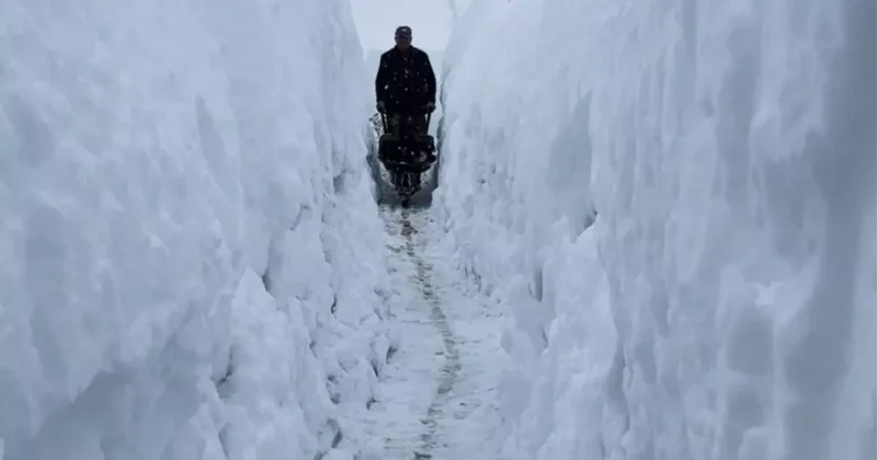 Tunceli de kar kalınlığı insan boyunu geçti
