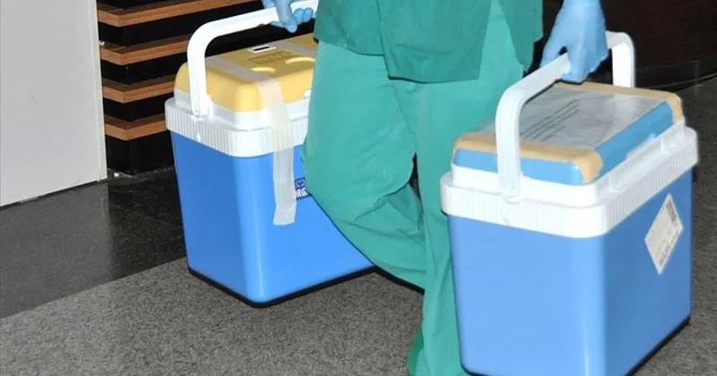 Organ bağışı 3 hastaya umut oldu