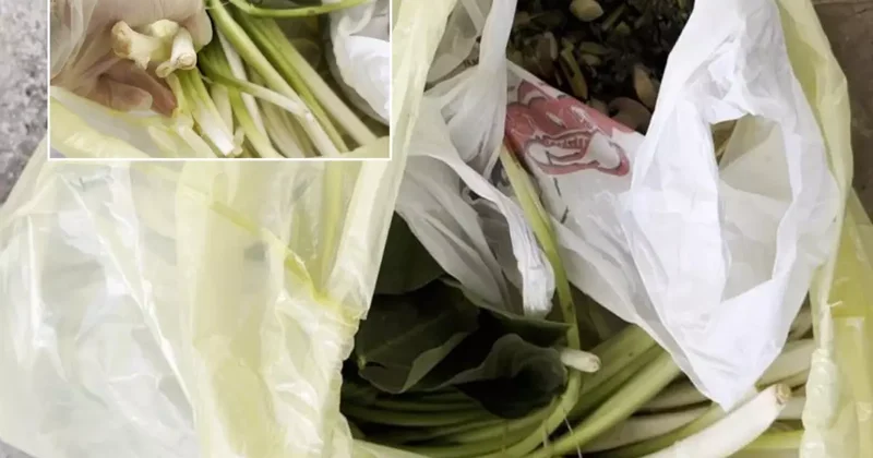 Pazardan aldı, zehir çıktı! Ağzına bir lokma alan doktor fenalaştı