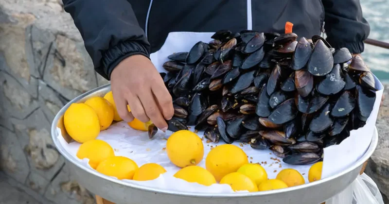 Körfezde midyede virüs mü tespit edildi? Resmi açıklama geldi