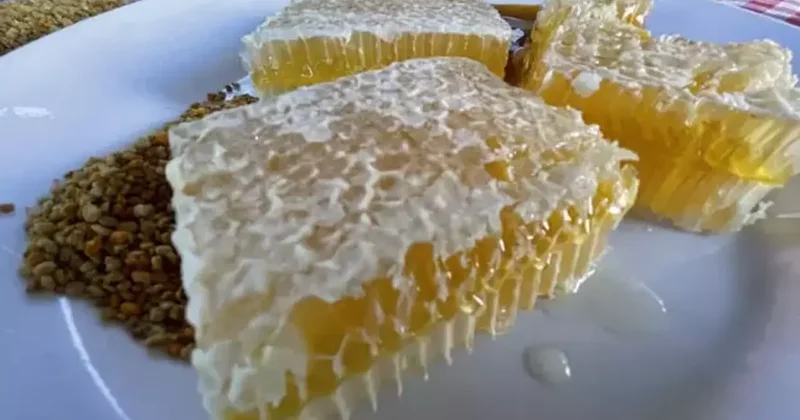 AB den coğrafi tescil alan Yenice ıhlamur balı markalaşma yolunda ilerleyecek