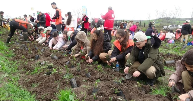 Bafra da minik eller 3 bin fidanı toprakla buluşturdu Samsun Haberleri