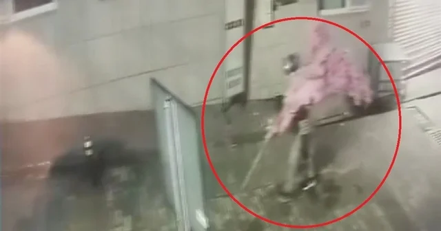 Bir kafeden daha fazlası yazısını fark etti, ağacı sırtlayıp gitti O anlar kamerada Montajı işletme sahibi yaptı , demontajı hırsız Süs ağacını söküp kayıplara karıştı Bursa Haberleri