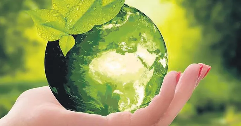 Sıfır Atık KOBİ’ler için yeni bir alan oldu