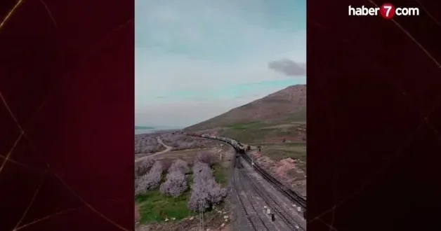 Elazığ da kayısı çiçekleriyle bahar senfonisi: Doğada görsel şölen başladı