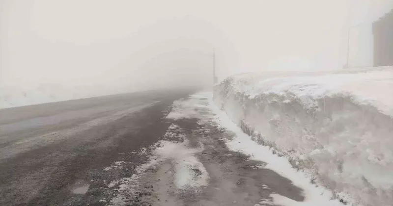 Sahara geçidinde yoğun sis ulaşımı olumsuz etkiliyor