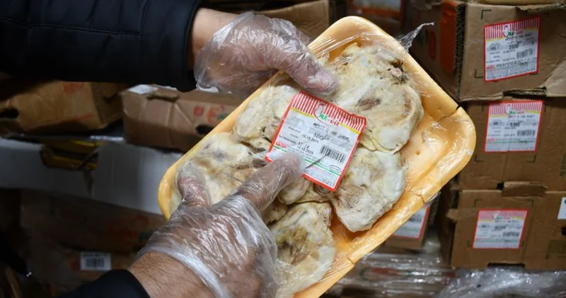 Şanlıurfa’da 50 ton bozuk tavuk eti ele geçirildi