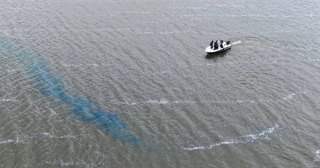 Türkmenli Göleti nde algasid dozlama ile su kalitesi artırılıyor Tekirdağ Haberleri