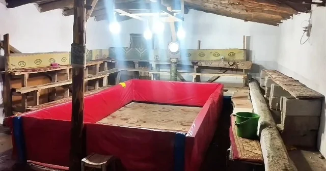 Muş ta horoz dövüşü yapan 23 kişiye ceza Muş Haberleri