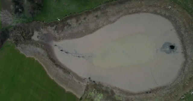 Göletin suyu boşalınca balıklar açıkta kaldı Sakarya Haberleri