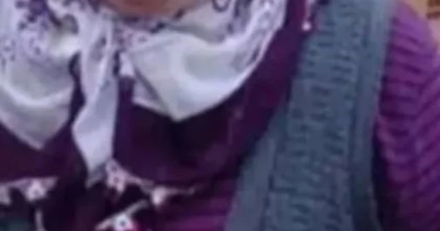 Kamyonun ezdiği kadın bir ay sonra hayatını kaybetti Giresun Haberleri