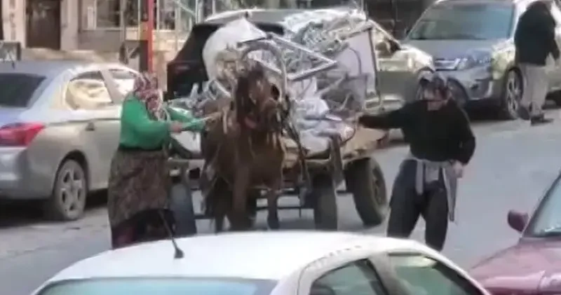 Avcılar’da aşırı yük taşıtılan ata sopa ve kemerli şiddet kamerada