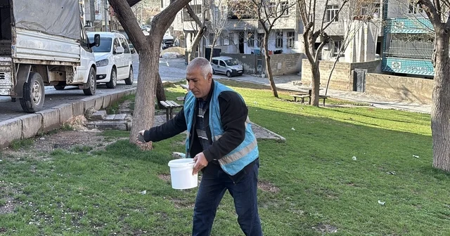 Yemyeşil Eyyübiye için hazırlıklar sürüyor Şanlıurfa Haberleri