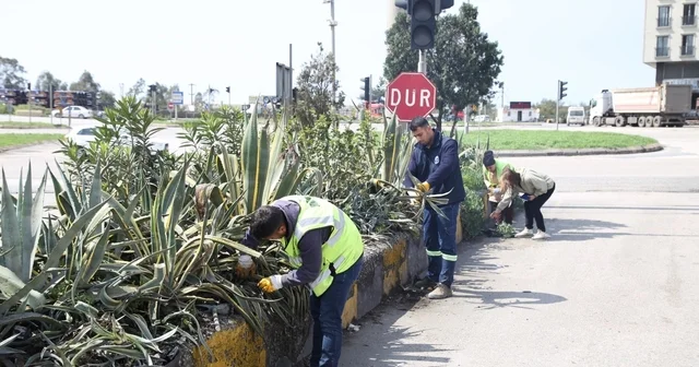 Hatay Büyükşehir Belediyesi bitkide dışa bağımlılığı en aza indirmeyi hedefliyor Hatay Haberleri