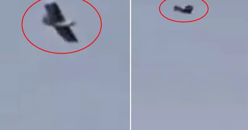 İran üzerinde kuş görünümlü insansız hava aracı görüntülendi