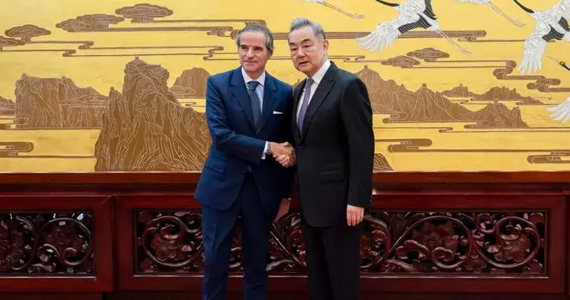 Çin Dışişleri Bakanı Wang, IAEA Başkanı Grossi ile görüştü