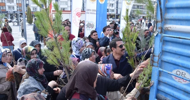 Karapınar da ağaçlandırma etkinliği Konya Haberleri