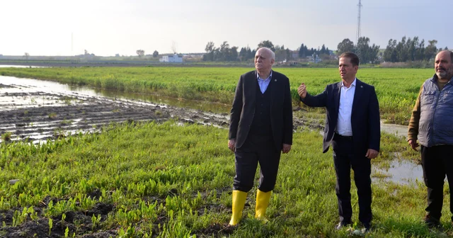 TZOB Genel Başkanı Bayraktar: Adana da 36 bin 566 dönüm tarım alanı su altında kaldı Adana Haberleri