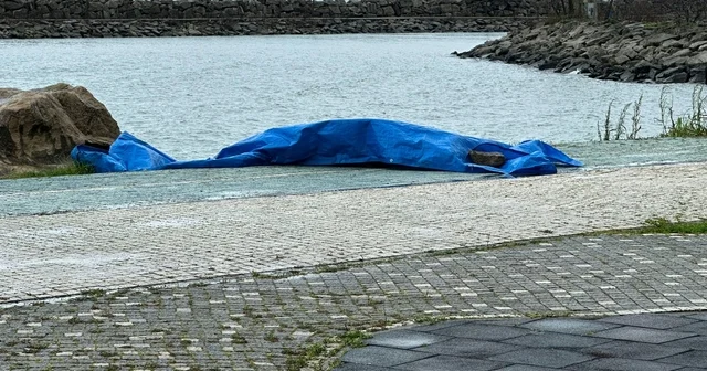 Ordu da sahile insansız araç olduğu değerlendirilen cisim vurdu Ordu Haberleri