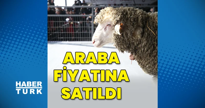 1 milyon 110 bin TL lik koç İş Yaşam Haberleri