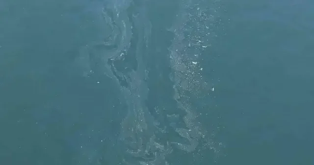 İzmir Körfezi’nde tehlike büyüyor: Aynı kirlilik 8’inci kez tespit edildi VİDEO İZLE