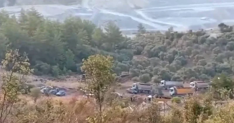Akbelen de maden kıyımı: 5 bin zeytin ağacı sökülecek