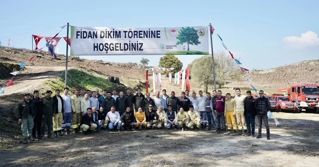 Milas ta yanan sahalar fidanlarla canlanıyor Muğla Haberleri