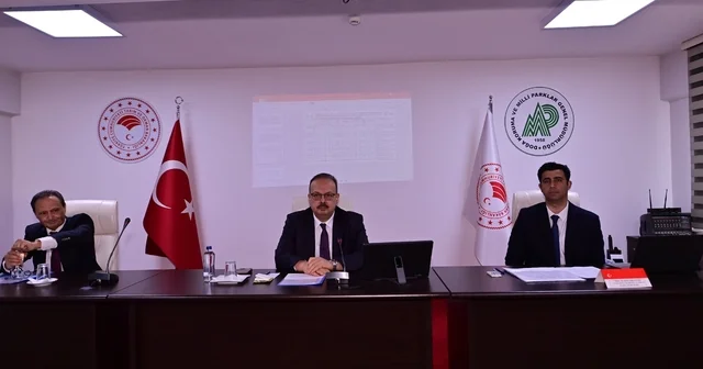 Aydın da sahipsiz hayvanlara yönelik çalışmalar masaya yatırıldı Aydın Haberleri