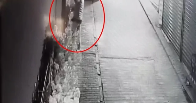 Süs ağacı çalınan iş yeri sahibi: Özür dilerse şikayetçi olmayacağım Bursa Haberleri