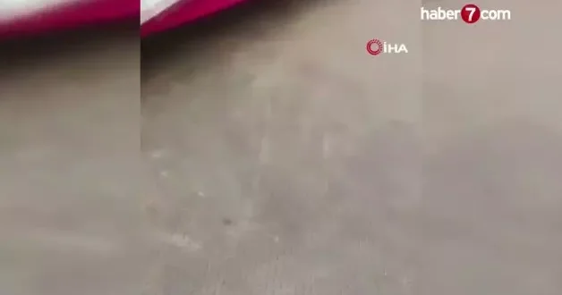 Bangladeş’te feribota girmeye otobüs nehre düştü: 2 ölü