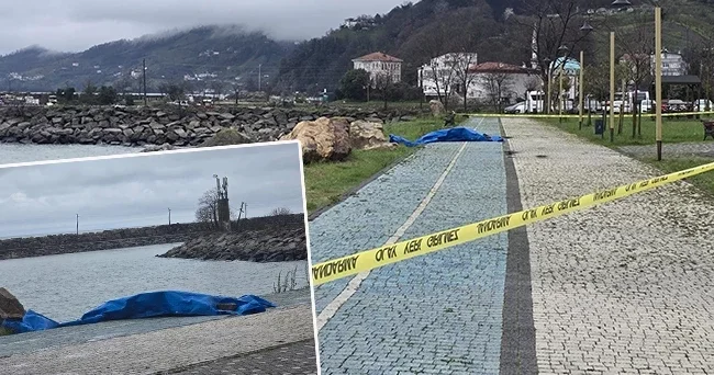 Ordu nun Fatsa ilçesi sahiline vurdu: Ekipler harekete geçti