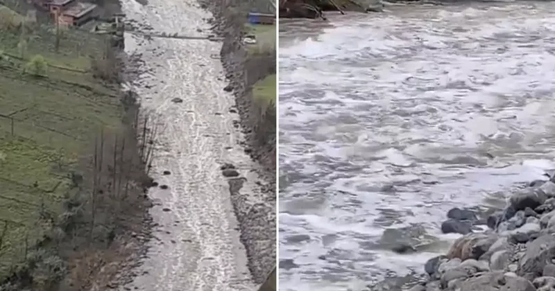 Fırtına Deresi nde endişelendiren görüntü! Gerçek ortaya çıktı