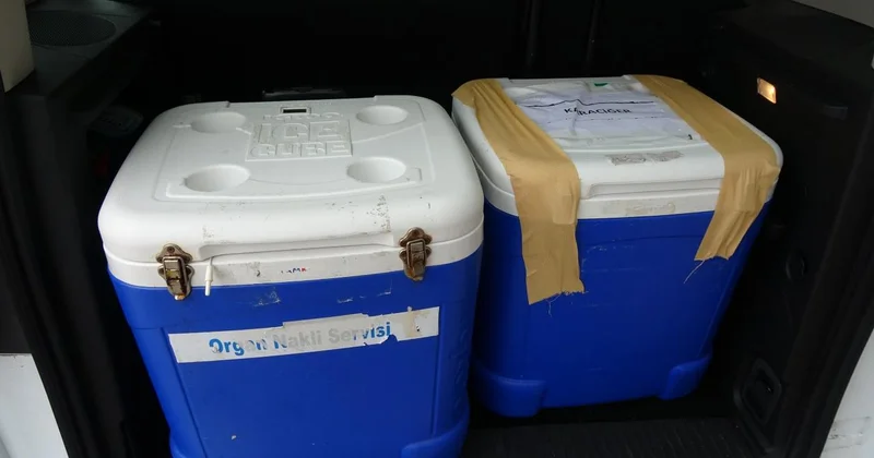 Genç kadının organları 3 kişiye umut oldu