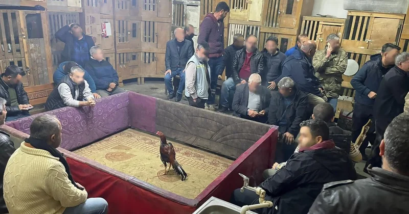 Horoz dövüştüren 23 kişiye para cezası