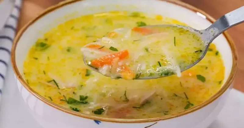 Vücudunuzdan hastalığı silip atıyor! Enfeksiyona savaş açıyor