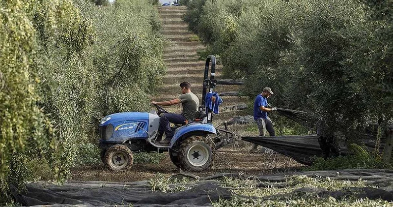 Çiftçiye İspanya da 877 milyon euro destek açıklandı
