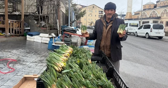 Hakkari de yılın ilk pancarları tezgâhlarda yerini aldı Hakkari Haberleri