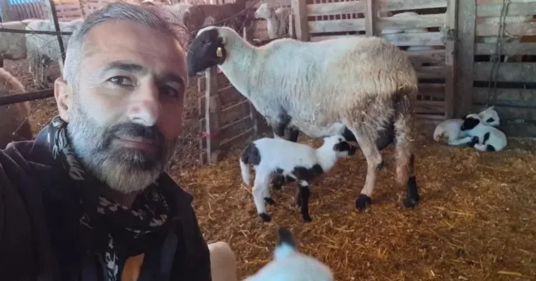 Sakız ve Ile de France birleşti, ezberler bozuldu! Hayvancılıkta yeni dönem