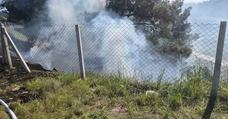 Tarlasındaki otları temizlerken ormanlık alanı yaktı