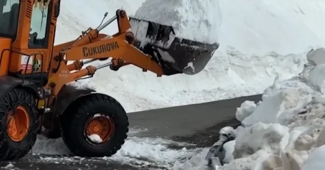Ardahan da baharda da karla mücadele çalışması yapılıyor VİDEO İZLE