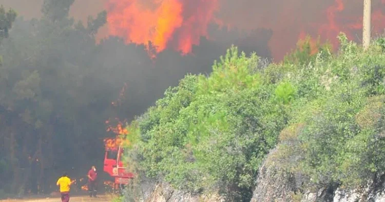 Beykoz da ormanlık alanda yangın