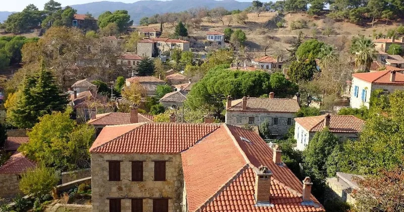 Dünya bu Türk köyünü konuşuyor: Rakiplerini tek tek eledi Sözcü Gazetesi