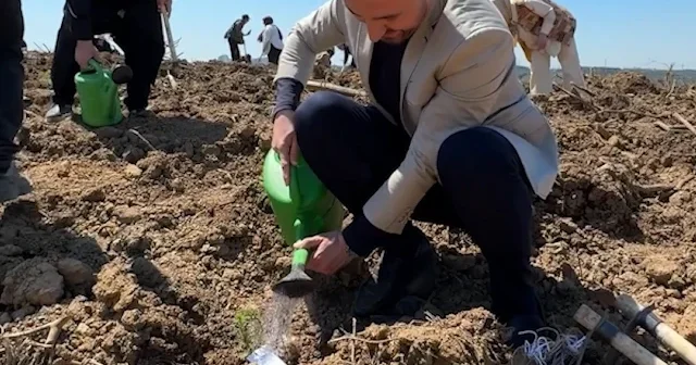 Kahramanmaraş’taki acı için İstanbul’da 1000 fidan 1000 umut seferberliği VİDEO İZLE