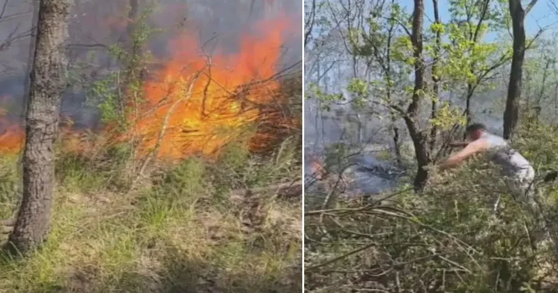 Çatalca da ormanlık alanda çıkan yangın söndürüldü