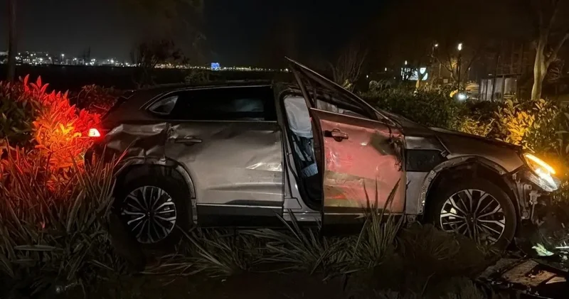 Fatih te facianın eşiği: Ağaçları söküp çalılıklara daldı