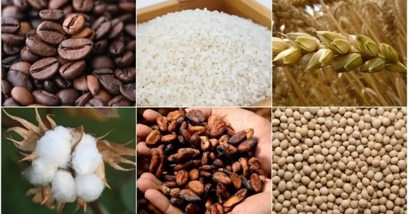 Enflasyon korkusu sürüyor: Değerli metallerde negatif seyir! Gözler merkez bankalarında...