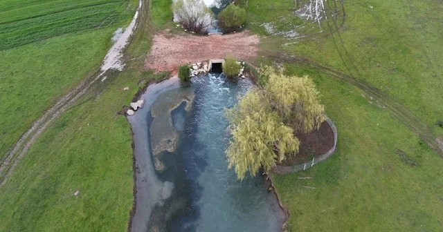 Leyleklerin durağı yemyeşil görüntüsüyle mest ediyor Konya Haberleri