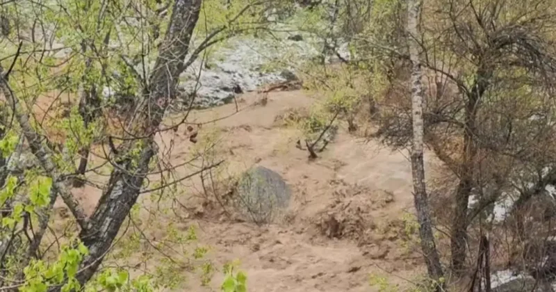 Aşırı yağışlar sonrası Munzur Vadisi’nde sel meydana geldi