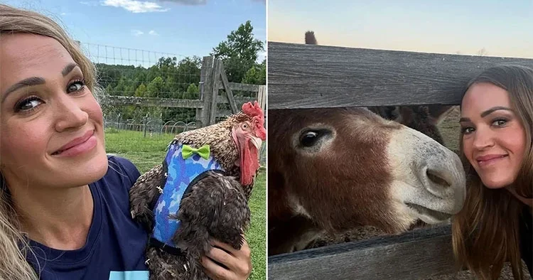 Ünlü şarkıcı 400 dönümlük çitliğinde huzuru buldu… ‘Burada yetiştirdiklerim tüm ailemi doyuruyor’